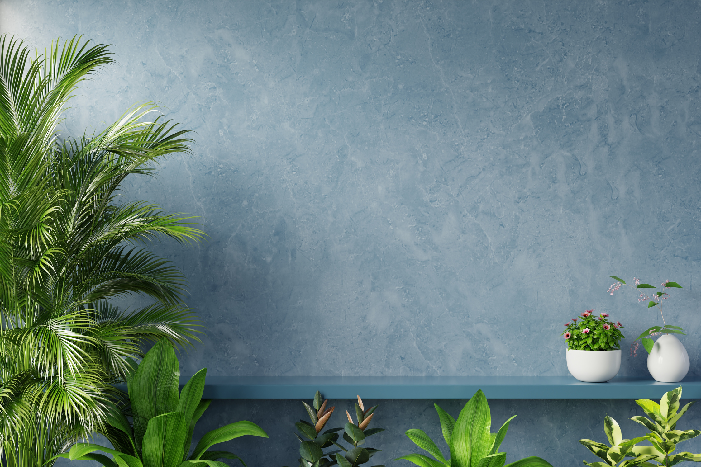 Shelf on Blue Wall with Green Plant.